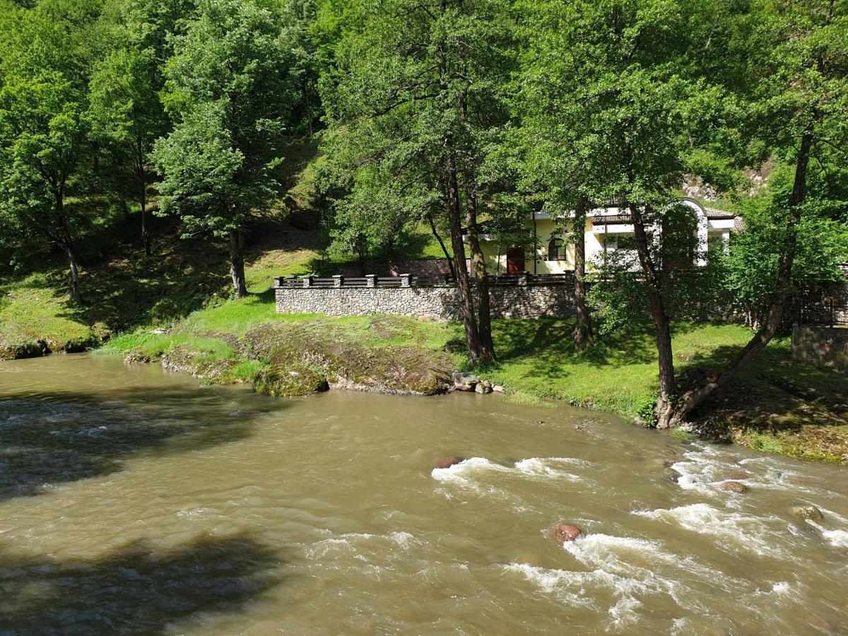 Семеен Хотел Федора Ribaritsa Exterior foto