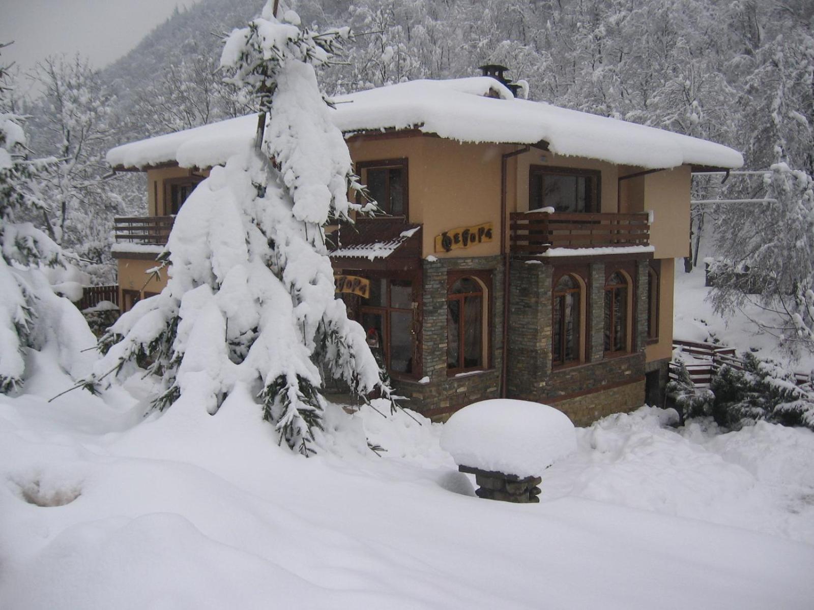 Семеен Хотел Федора Ribaritsa Exterior foto