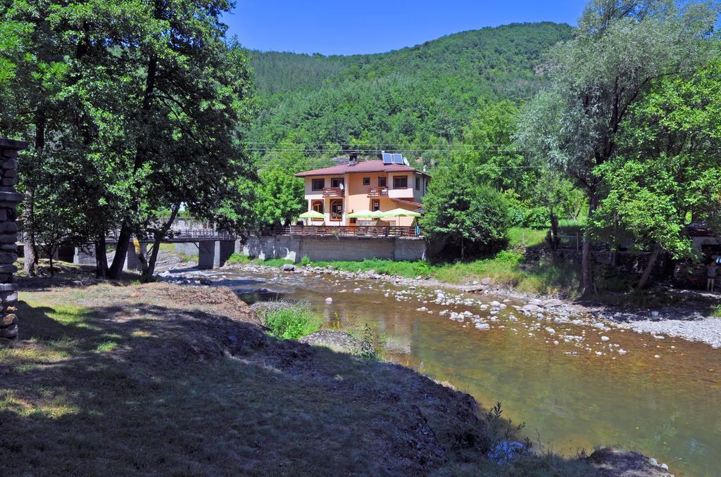 Семеен Хотел Федора Ribaritsa Exterior foto