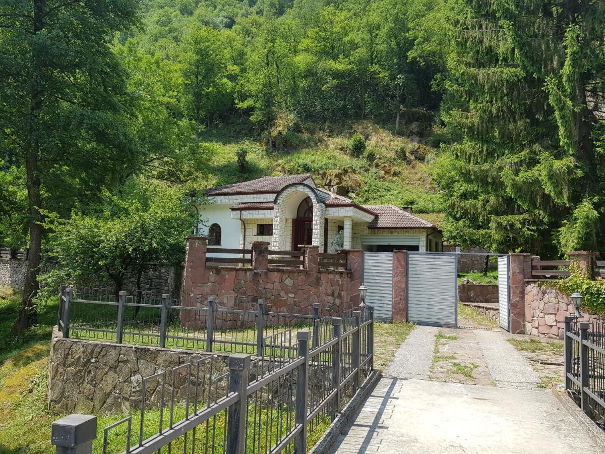 Семеен Хотел Федора Ribaritsa Exterior foto
