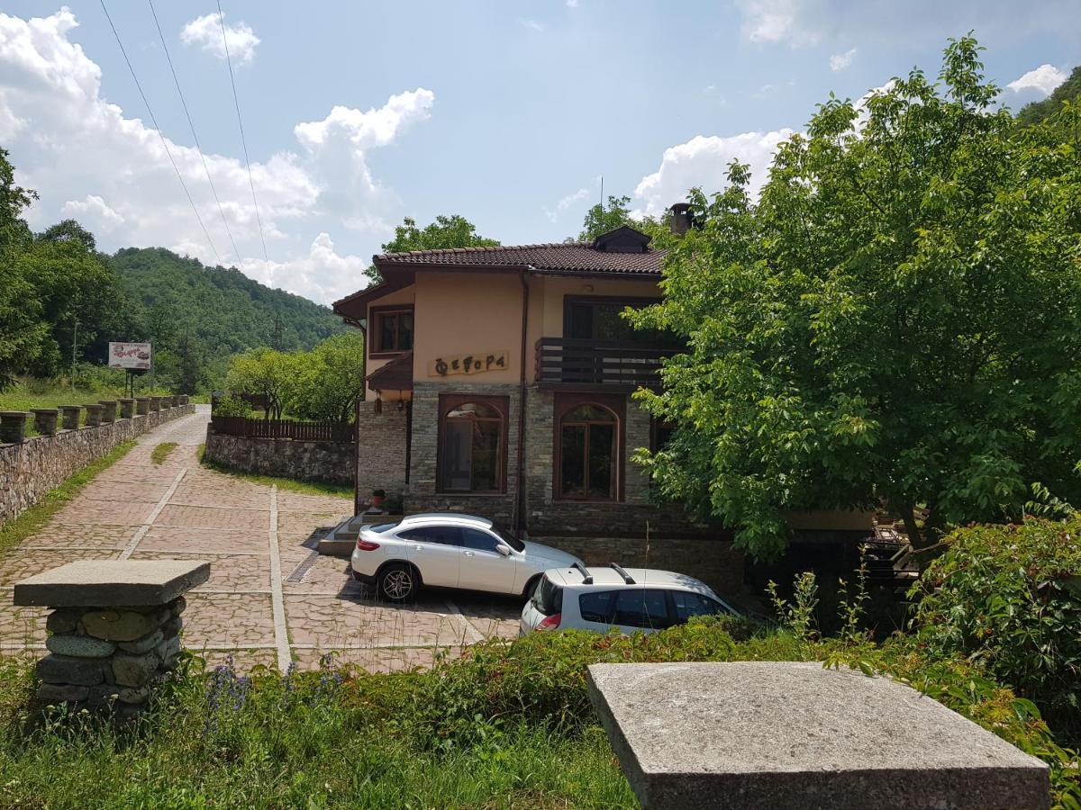 Семеен Хотел Федора Ribaritsa Exterior foto