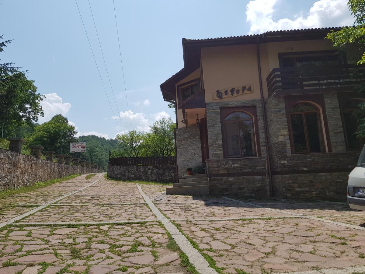 Семеен Хотел Федора Ribaritsa Exterior foto